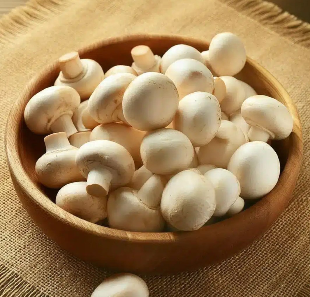 قیمت قارچ ۳ برابر شد!!
