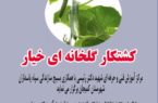 برگزاری دوره کشتکار گلخانه خیار و سیفی جات در کمیجان
