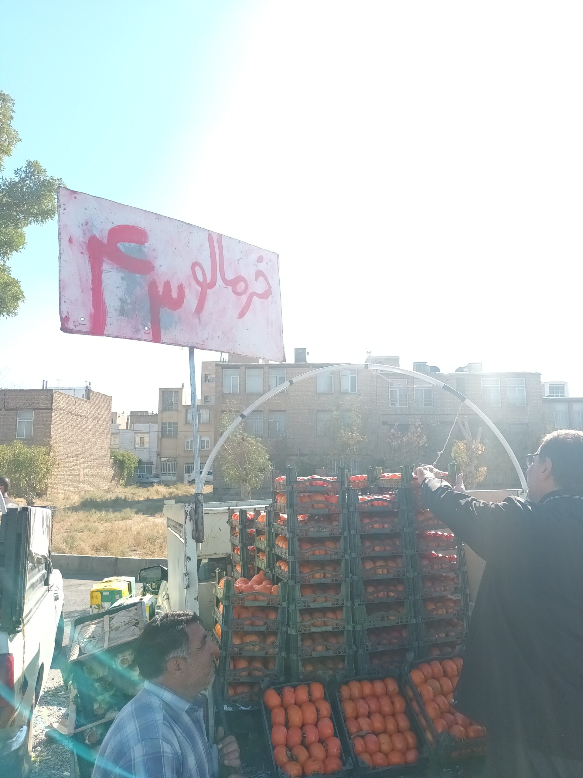 وقتی میوه در کمیجان به کالای لوکس تبدیل میشود! 27 وقتی میوه در کمیجان به کالای لوکس تبدیل میشود!