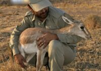 نیمی از پست‌های محیط‌بانی هنوز خالی‌اند!