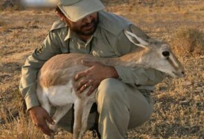 نیمی از پست‌های محیط‌بانی هنوز خالی‌اند!