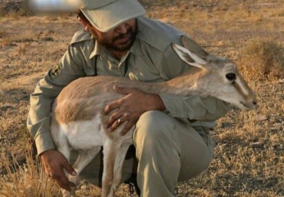 نیمی از پست‌های محیط‌بانی هنوز خالی‌اند!