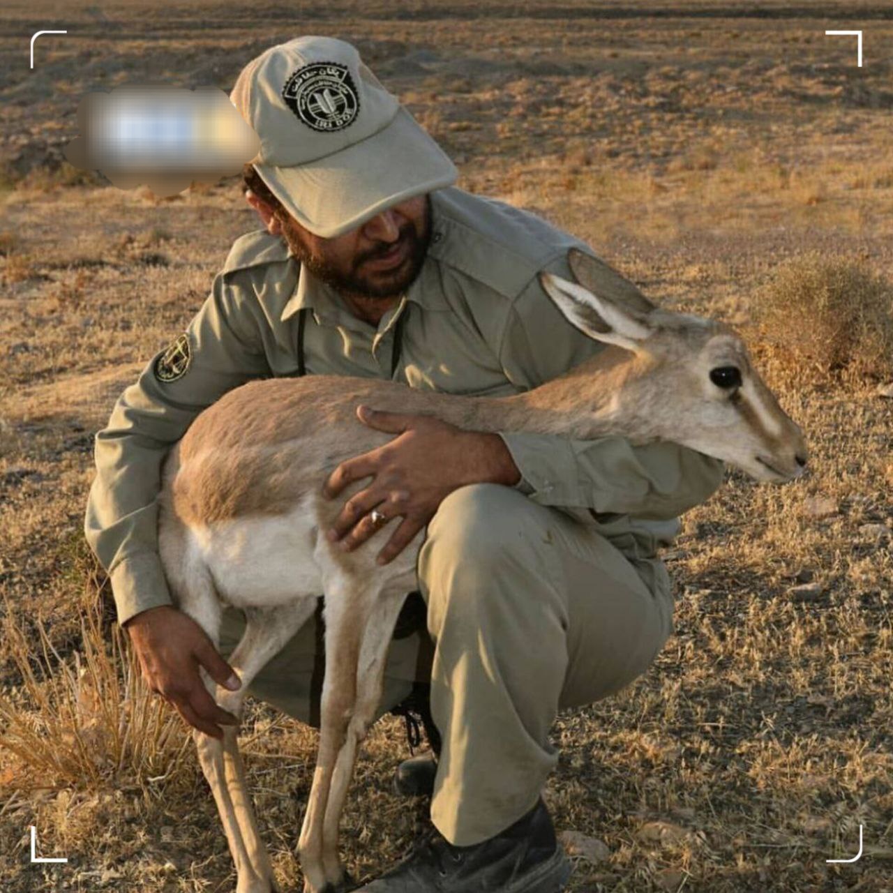 نیمی از پست‌های محیط‌بانی هنوز خالی‌اند!