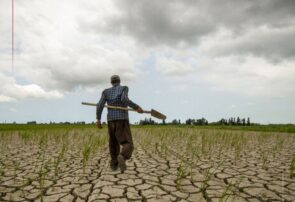 کاهش ۸۲ درصد بارش‌های ایران!